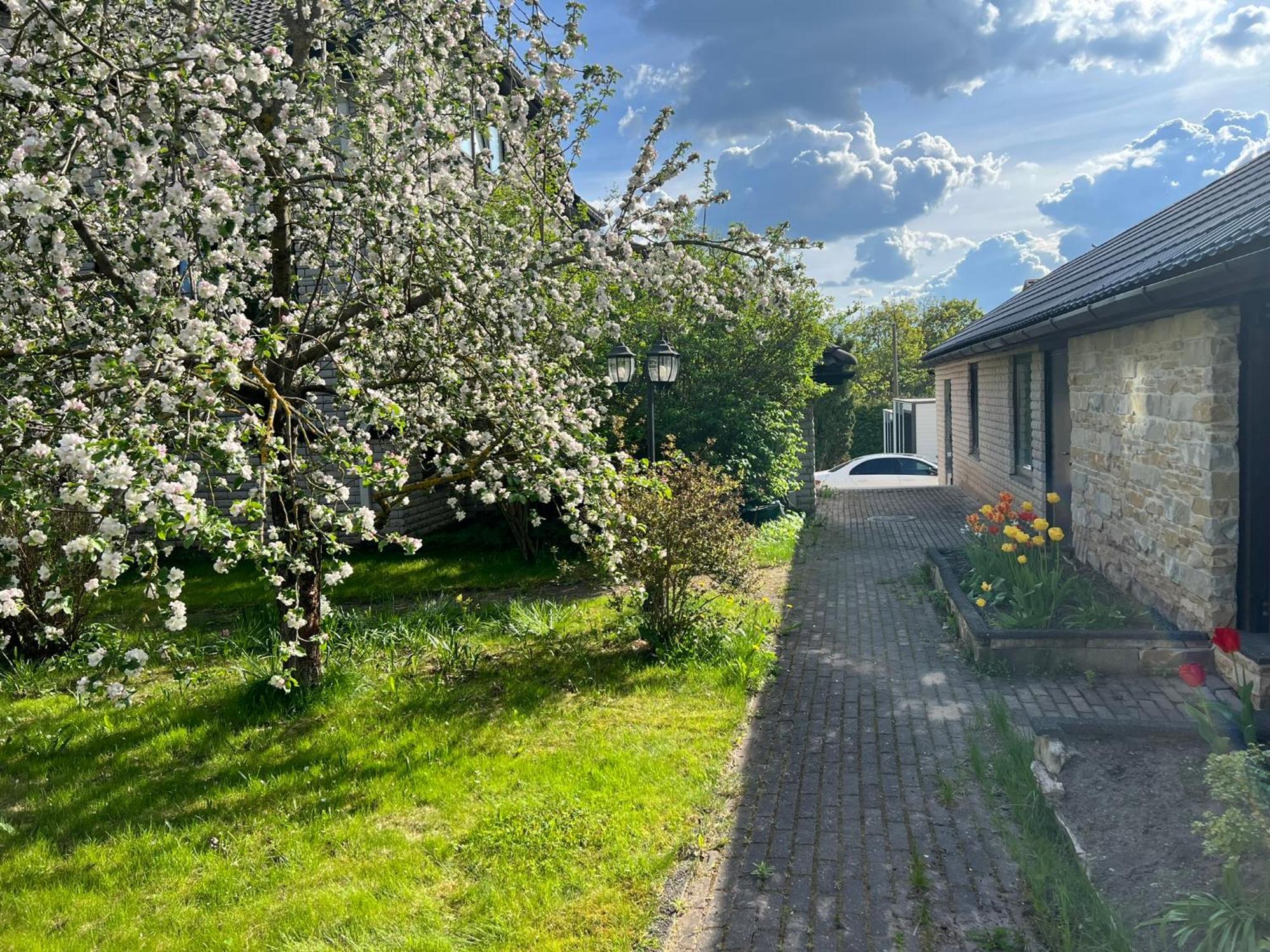 Apartment Jaama Flat Surrounded By Garden Tartu