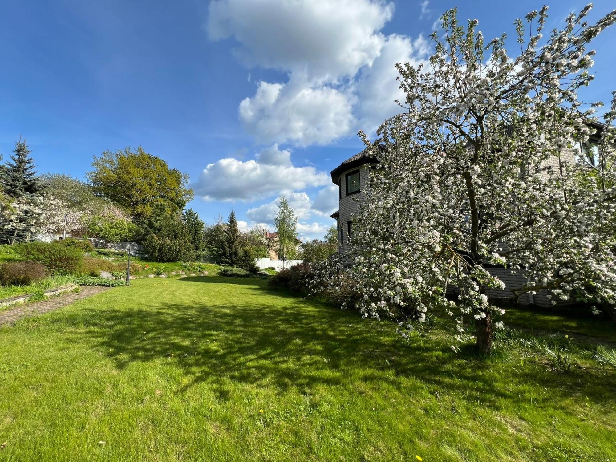 Jaama Flat Surrounded By Garden Apartment Tartu